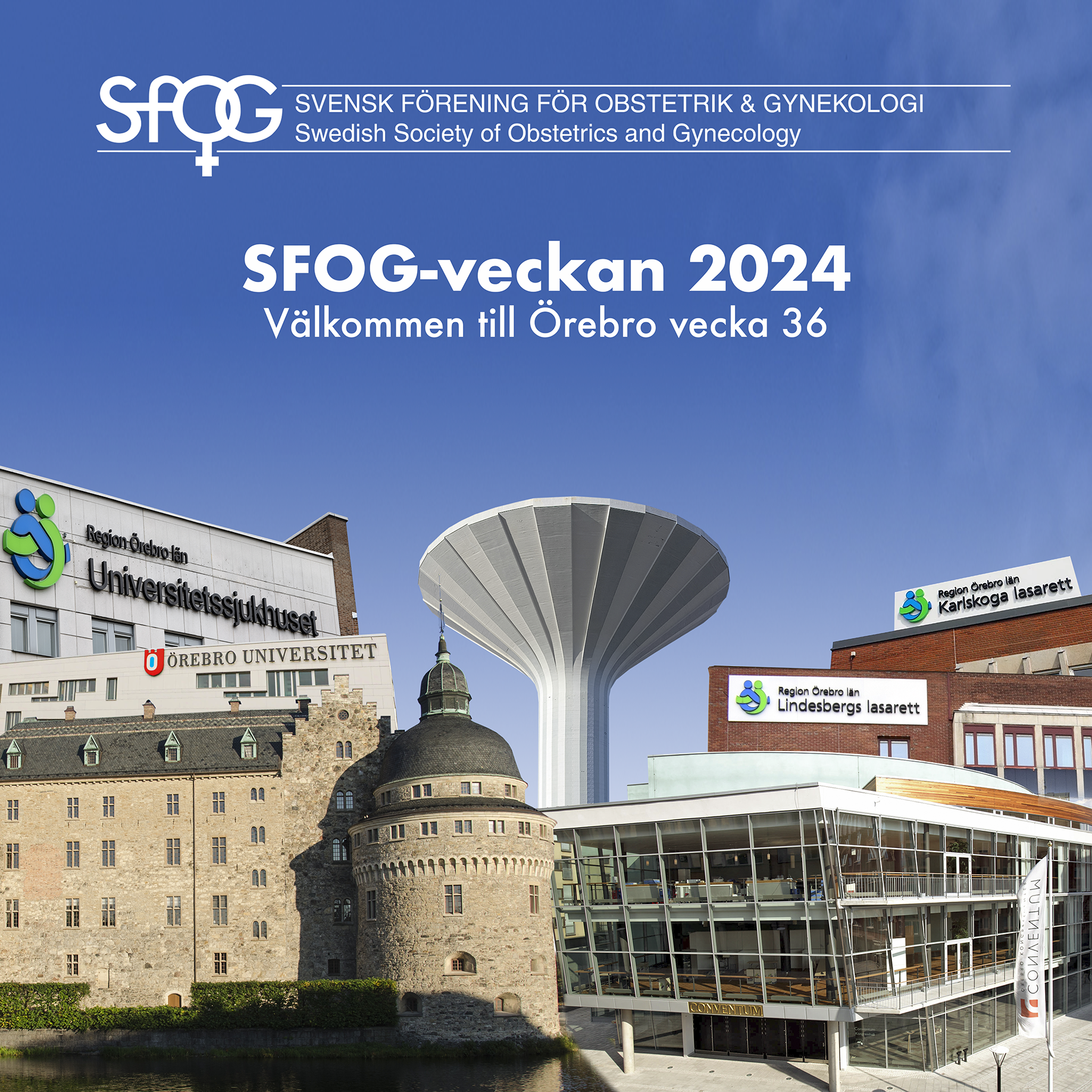 SFOG-2024-montage-v2
