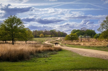 ESCA