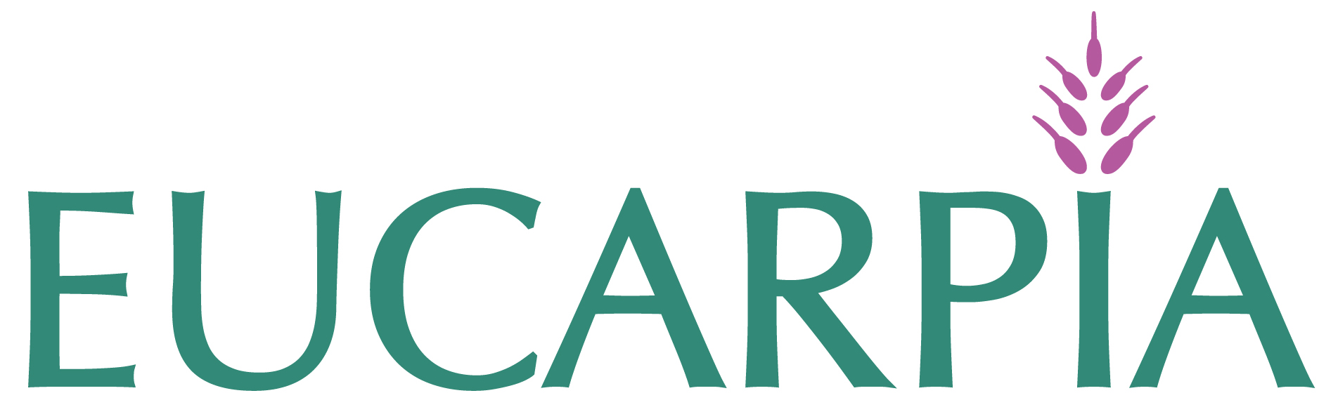 Eucarpia Eucarpia