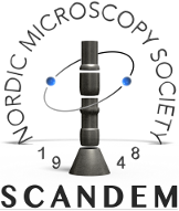Scandem logo