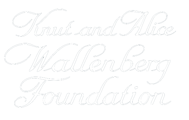 Knut and Alice Wallenberg foundation